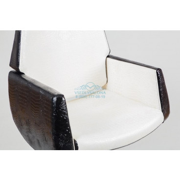 Парикмахерское кресло SD-6316