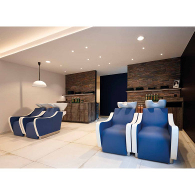 Парикмахерская мойка &quot;WEN PRO&quot;